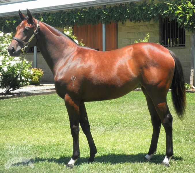 Encosta Zone - photo 1