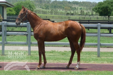 Drovers Rest - photo 1