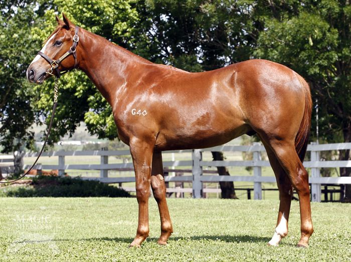 Idol Factor - photo 1