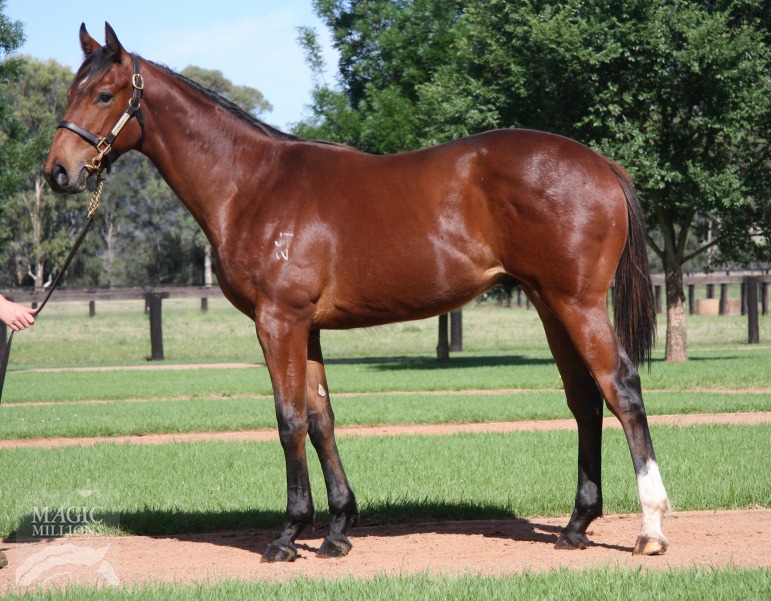 Salute To Jude - photo 1