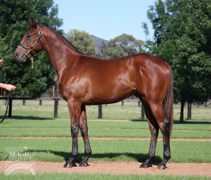 Chickamauga - photo 1