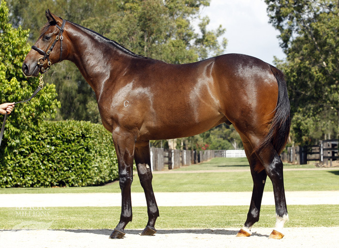 The Concorde (AUS) - photo 1