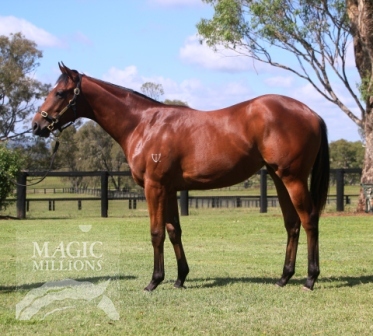 Wind Shift - photo 1