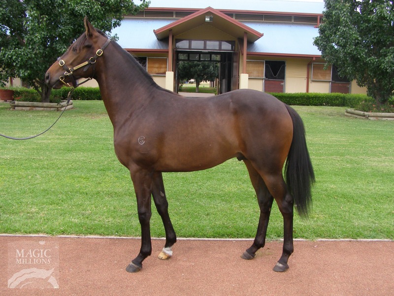 President's Cup (AUS) - photo 1