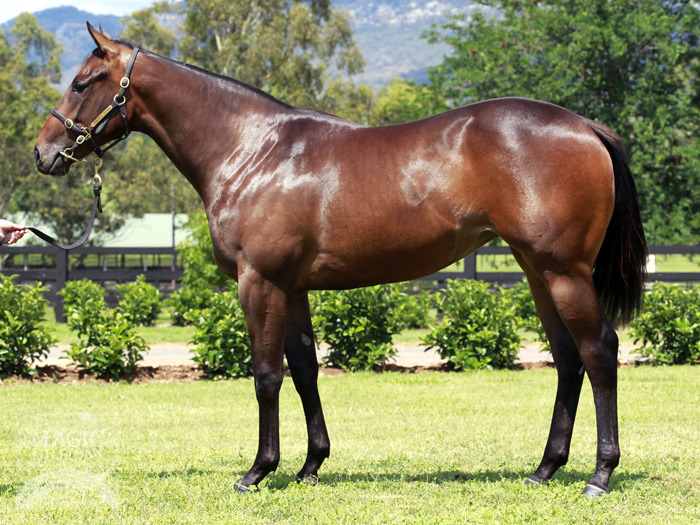 Glenbawn Dame - photo 1