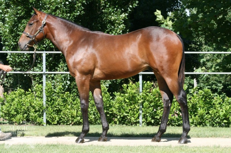 Irish Bandit - photo 1