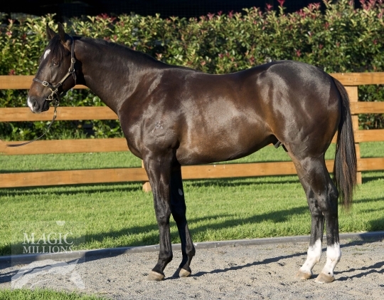 The King's Cross - photo 1