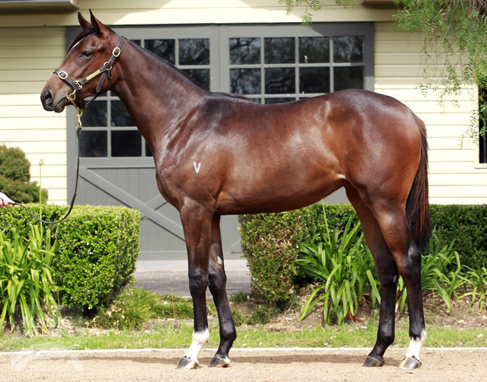 Tonza Rossa - photo 1