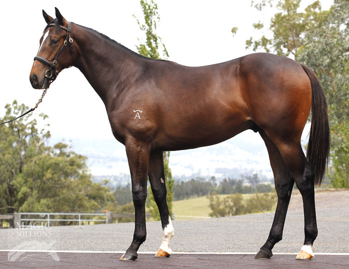 War Heights - photo 1