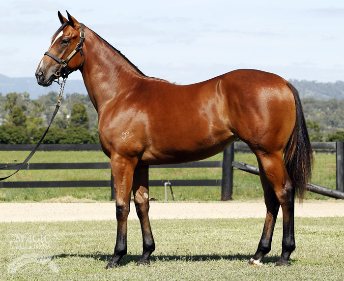 Miss Twin Peaks - photo 1