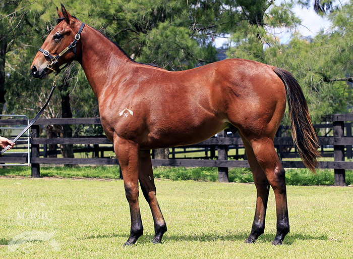 Another Effort - photo 1