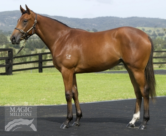 Miss Fearless (AUS) - photo 1