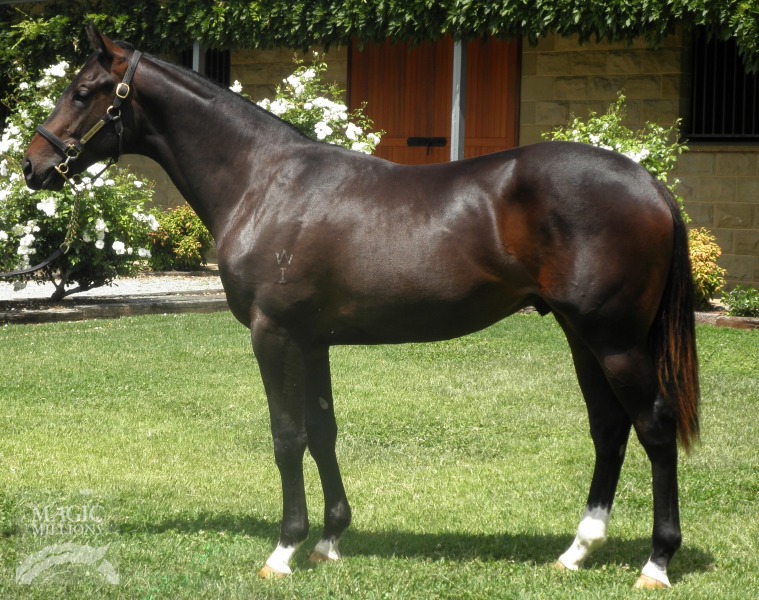 Flying Sebring - photo 1