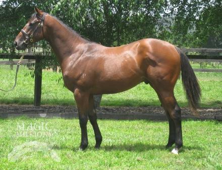 Manhattan Rock - photo 1