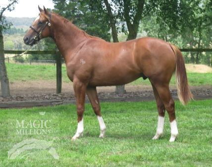 In Recovery (AUS) - photo 1