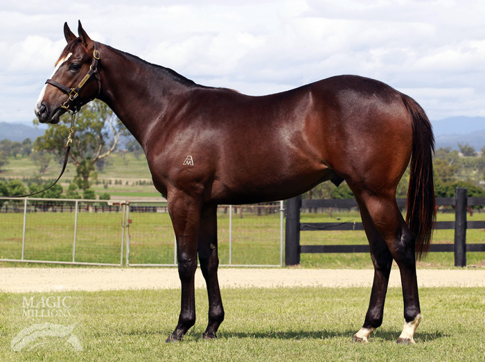 Will Of Steel - photo 1