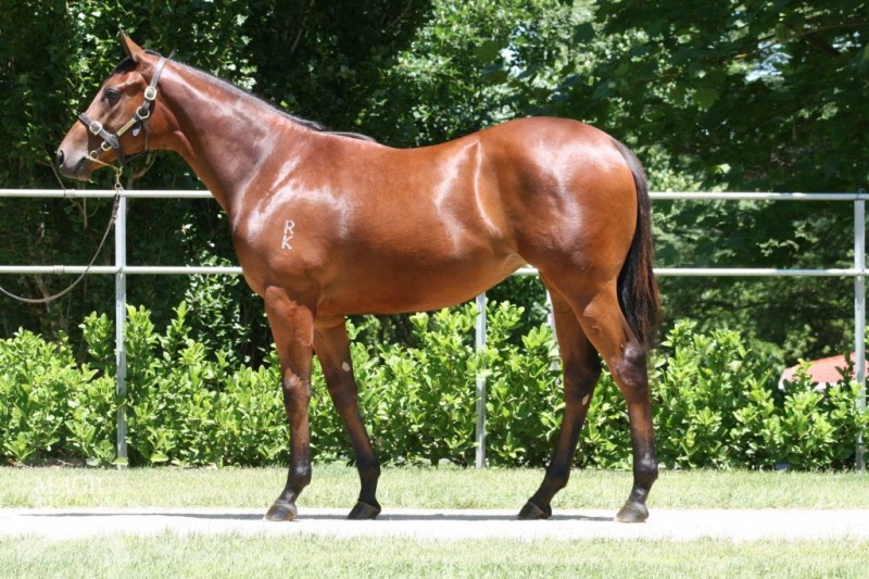 Awasita (AUS) - photo 1