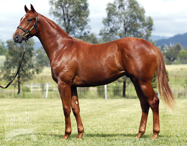 Assertive Union - photo 1