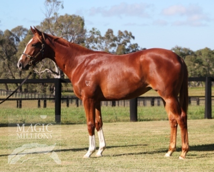 Overtone Aria - photo 1