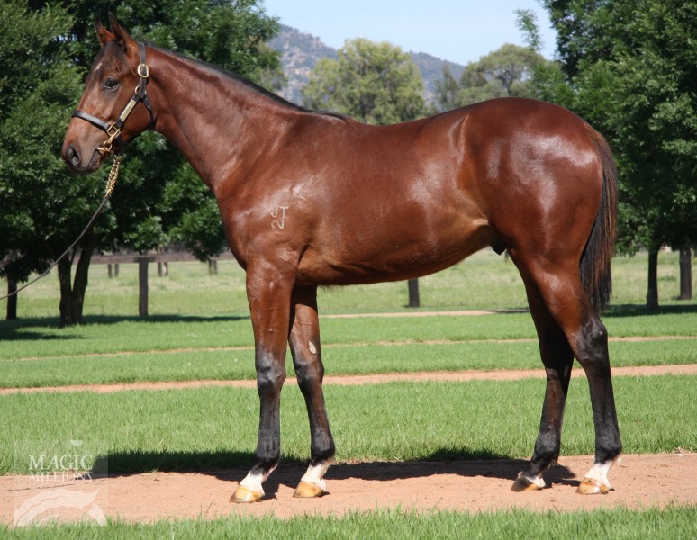 Look Of Luck - photo 1