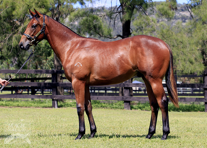 Wow Factor - photo 1