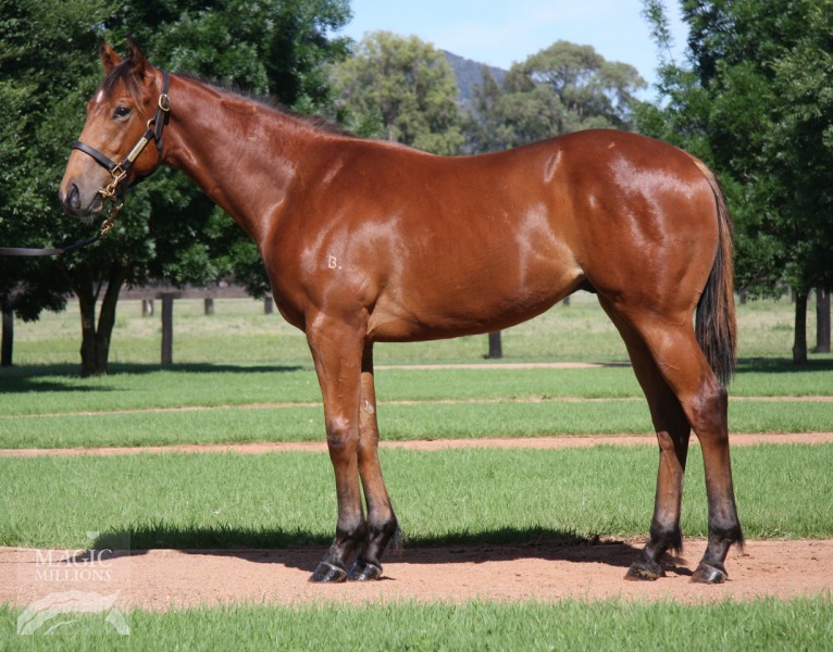 Positive Decision - photo 1