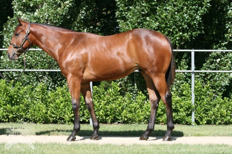 Auspicious Spirit - photo 1