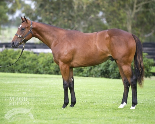 Victory Wood - photo 1