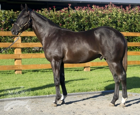 Gravitational - photo 1