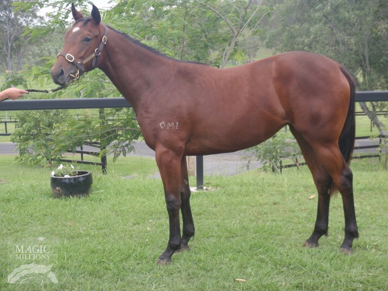 Shebrings Class - photo 1