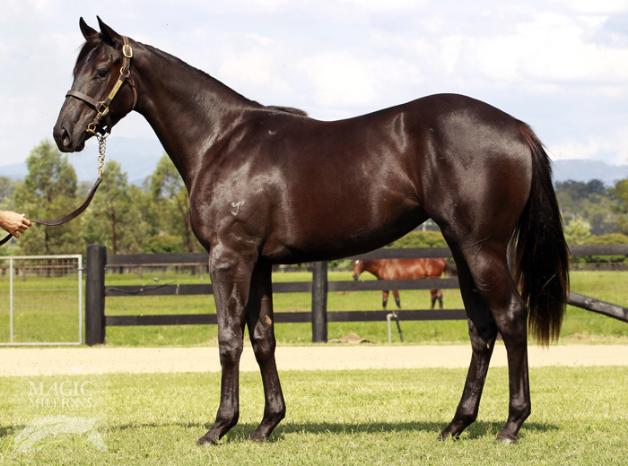 Happy Friday (AUS) - photo 1