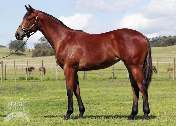 Fast Grass - photo 1