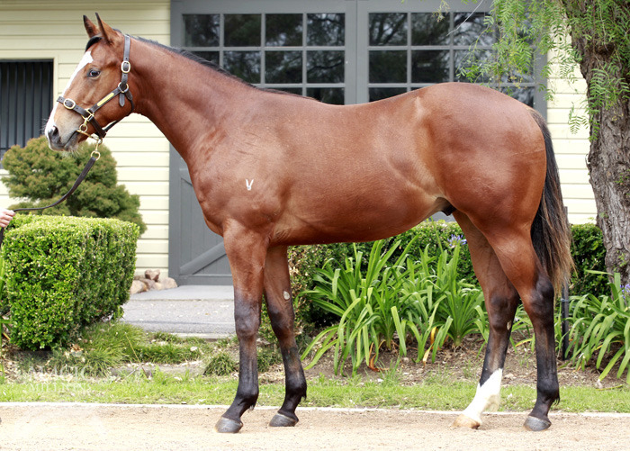 Deny Allcharges (AUS) - photo 1