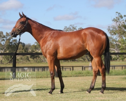 Walkingintheair - photo 1