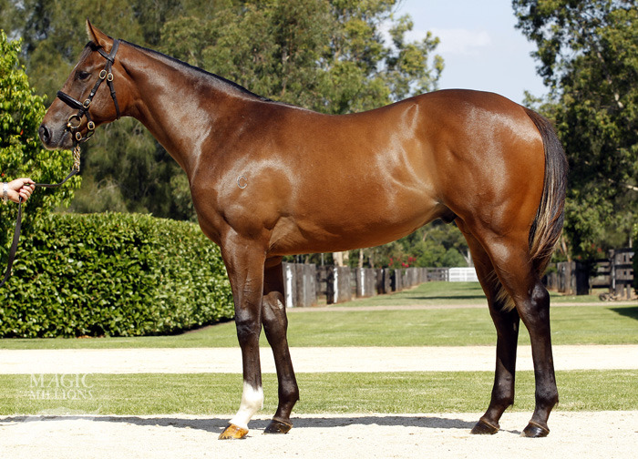 One Step Beyond - photo 1