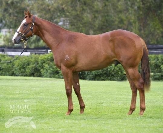 The Flying Sun (AUS) - photo 1