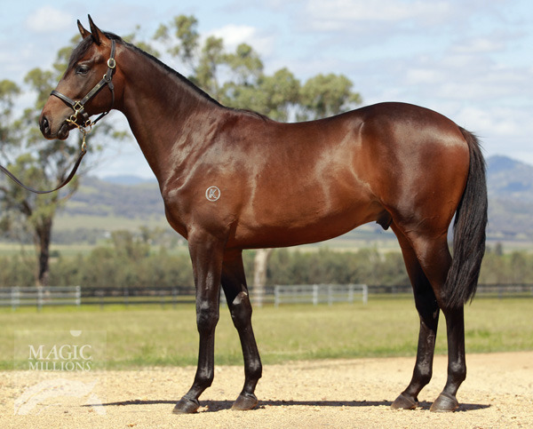 Fashion Kurv - photo 1