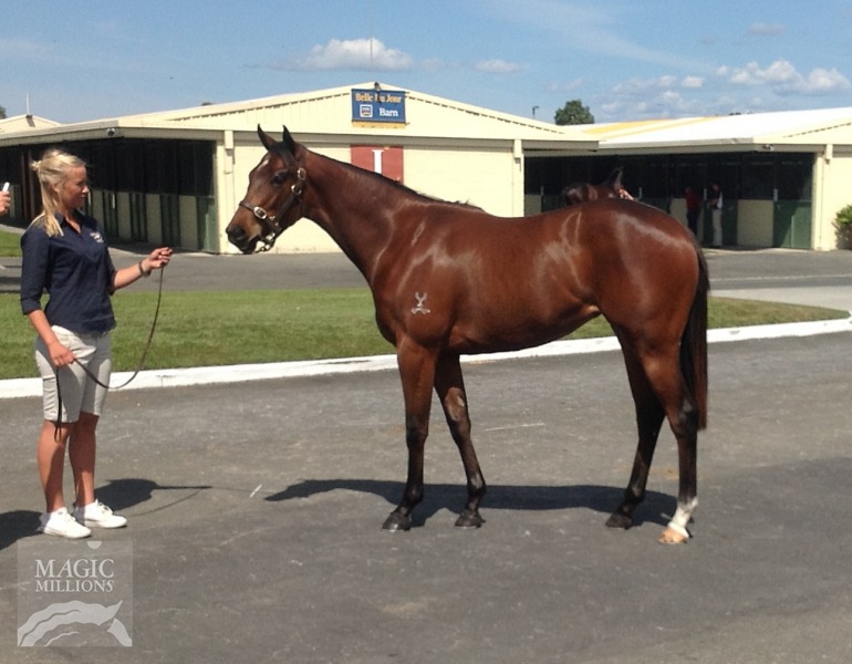 Exceedingly Good (AUS) / Athene's Star (AUS) - photo 1