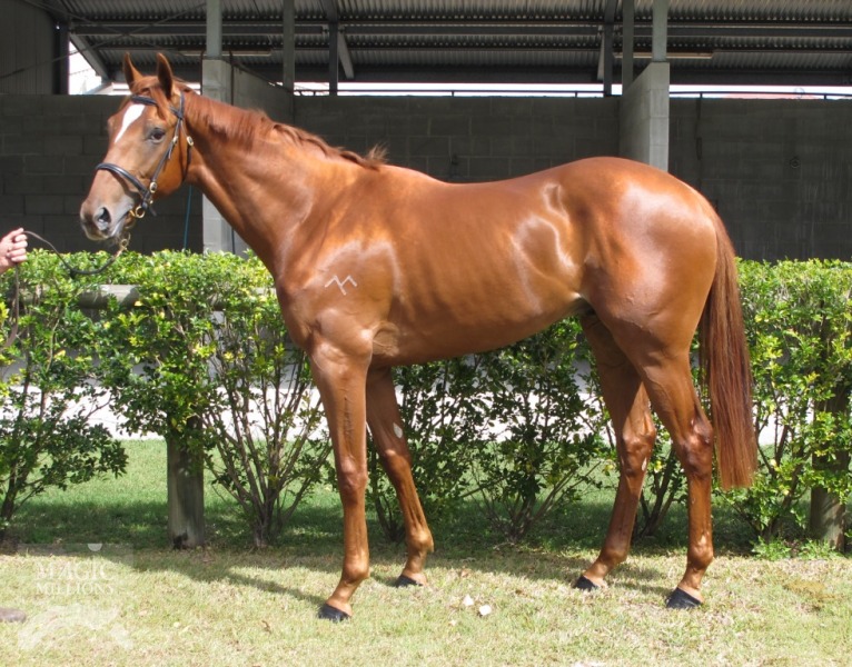 Sea World (AUS) - photo 1