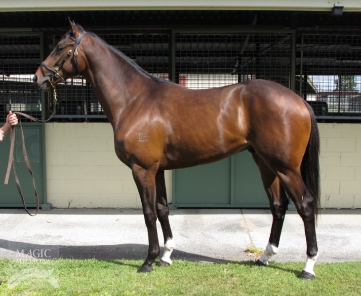 Bit Of A Bash - photo 1