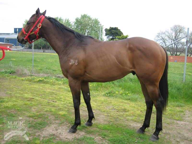 Real Finniss - photo 1