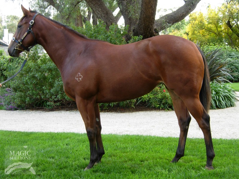 Sheezsingle - photo 1