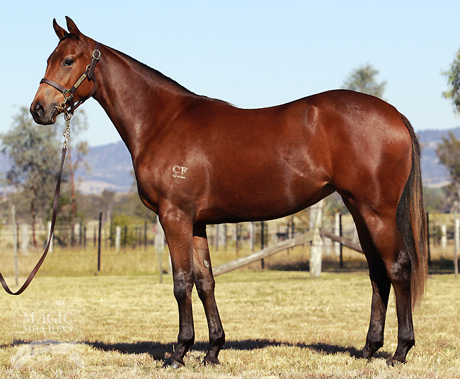 Downwind (AUS) - photo 1