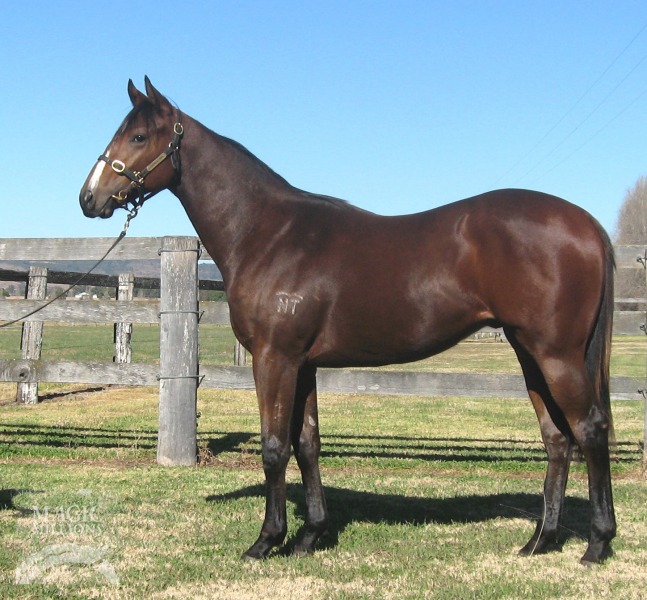 Candy Crush (AUS) - photo 1