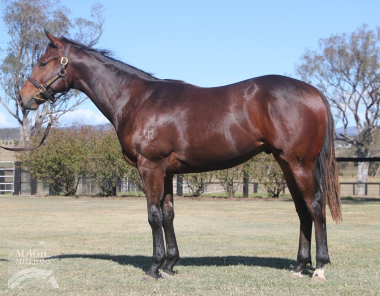 Tennessee Merlin (AUS) - photo 1