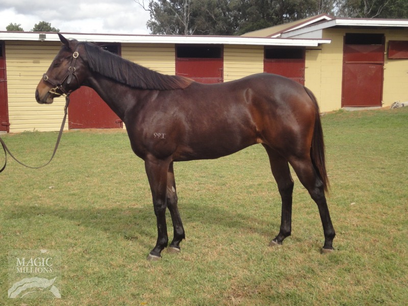 I Saw Yers (AUS) - photo 1