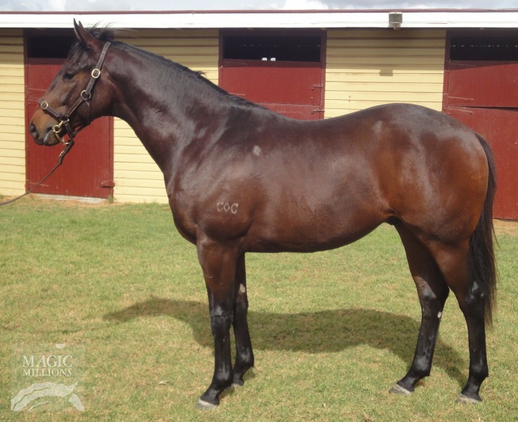 Flaming Fireheart (AUS) - photo 1