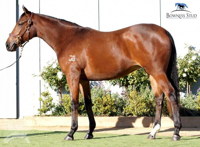 Heyday (AUS) - photo 1