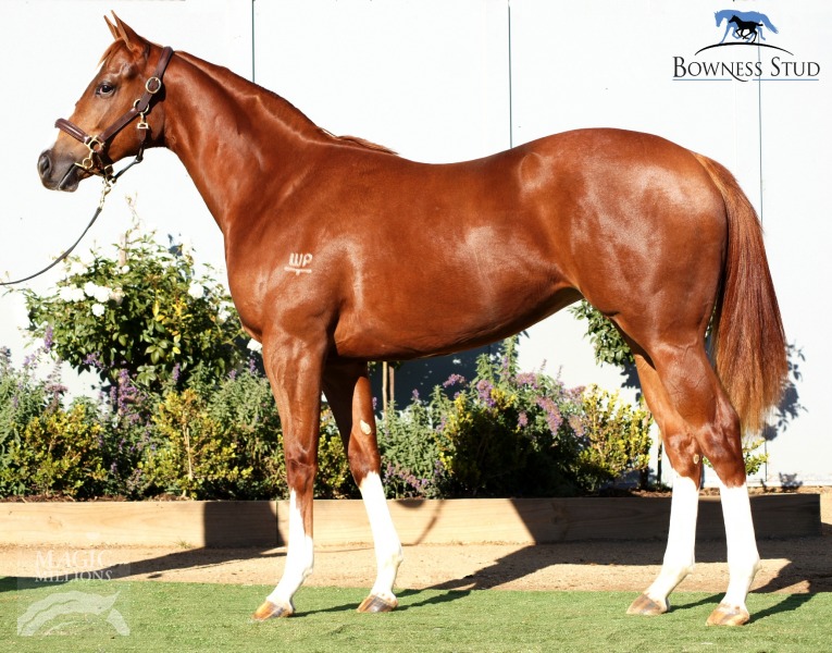 Versace Rose (AUS) - photo 1