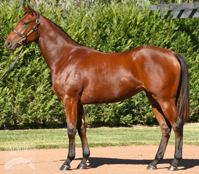 Bernarsini (AUS) - photo 1